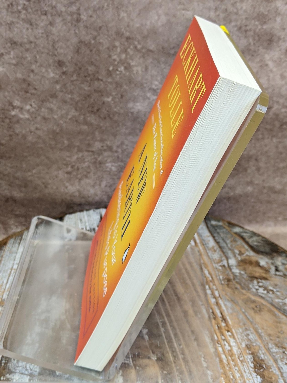 A New Earth: Awakening to Your Life&rsquo;s Purpose by Eckhart Tolle Paperback Book