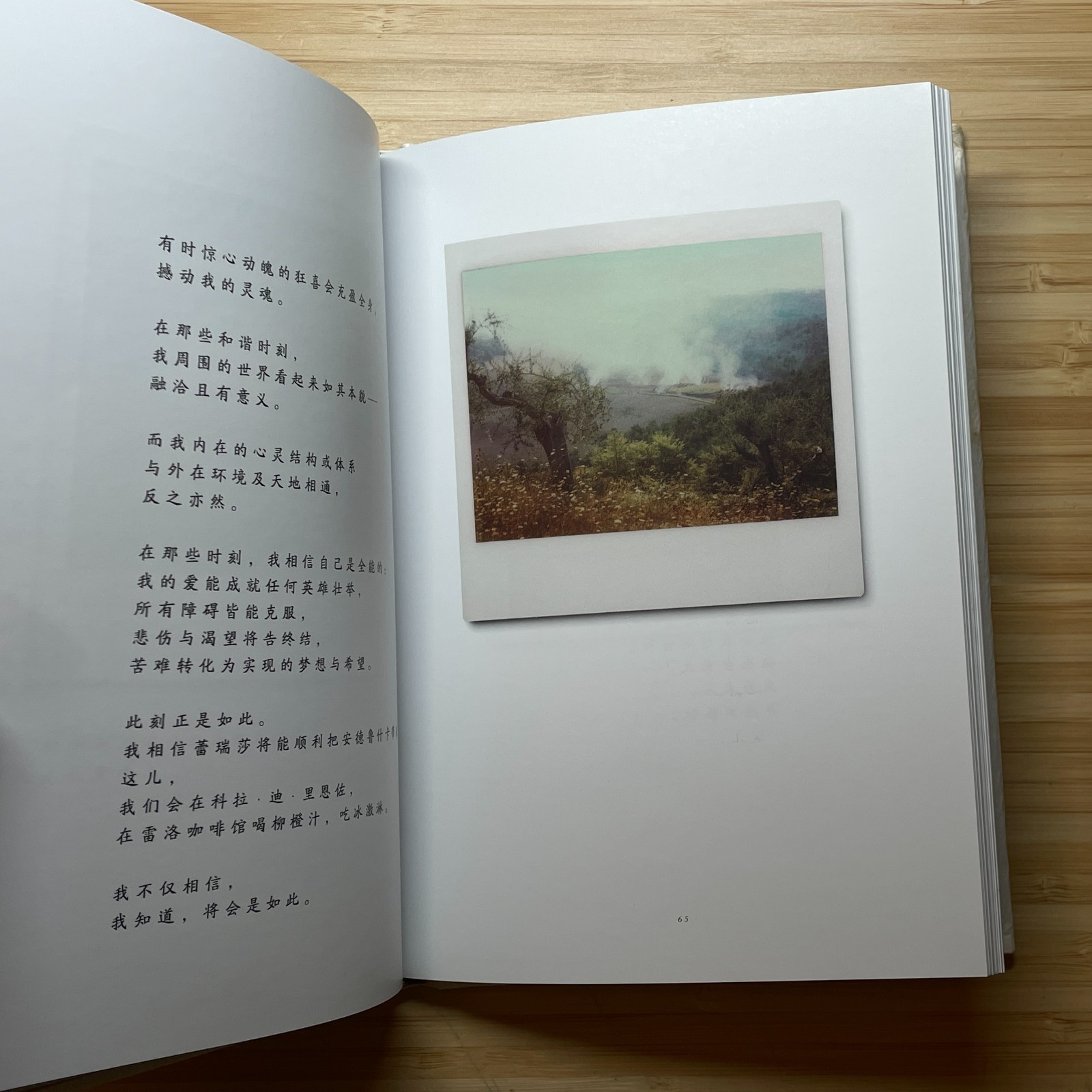 Instant Light Tarkovsky Polaroids – Chinese Version – Hardcover