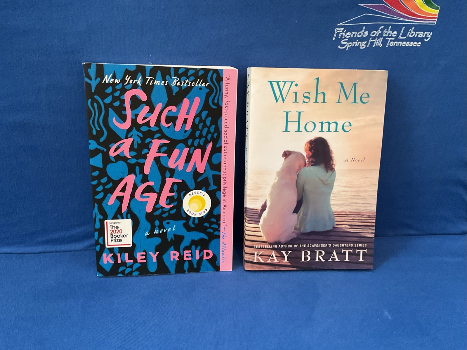 Lot of 11 – Women&rsquo;s Contemporary Topics, By Jodi Picoult & Others, PB