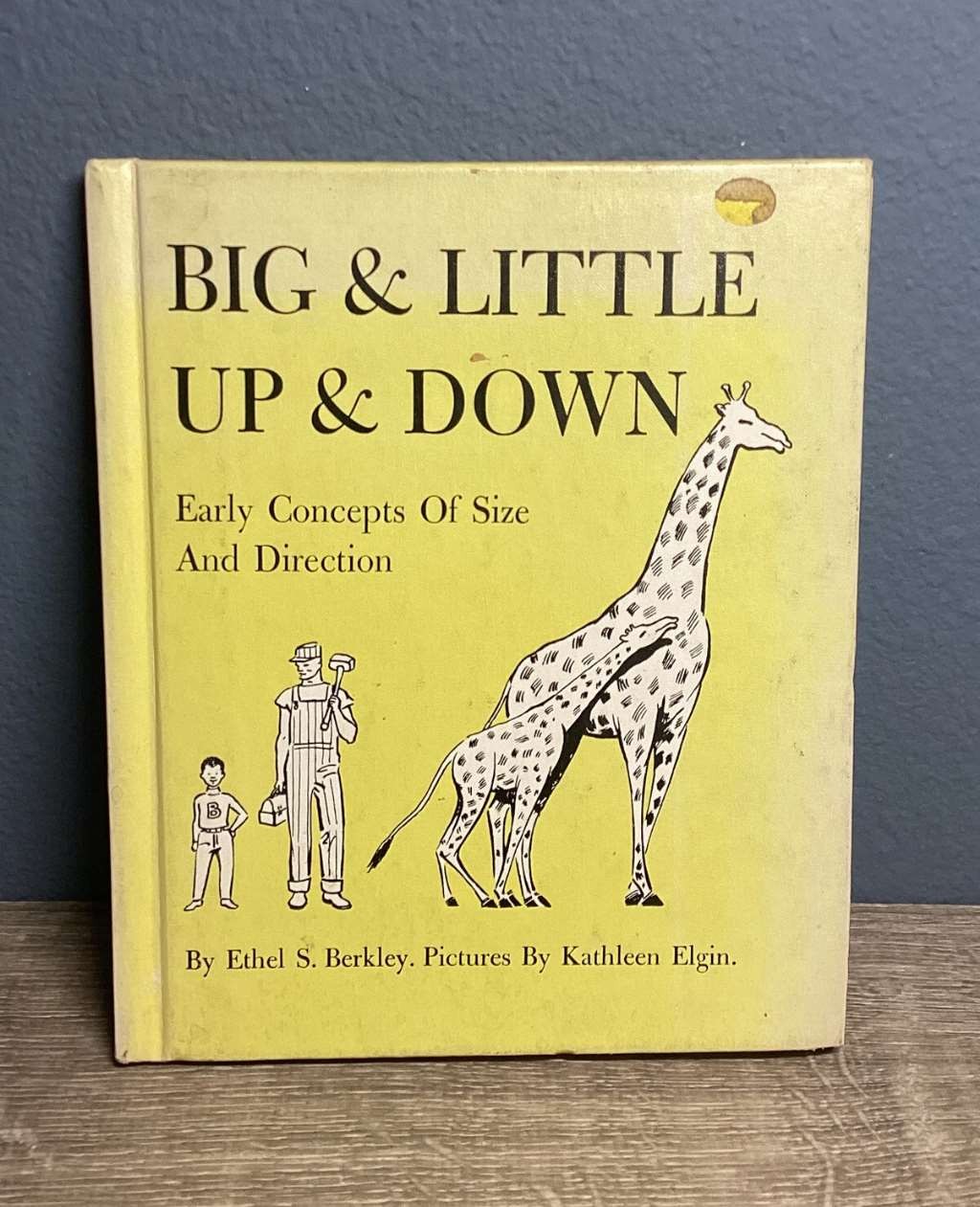 Big and Little, Up and Down; Early Concepts of Size and Direction,