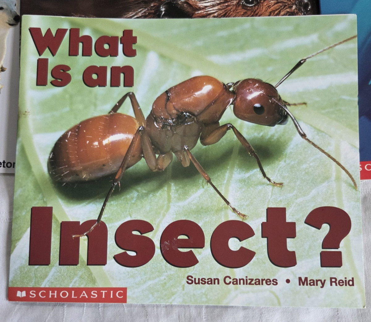 Lot of 14 Scholastic Science Emergent Readers Time to Discover Books Homeschool