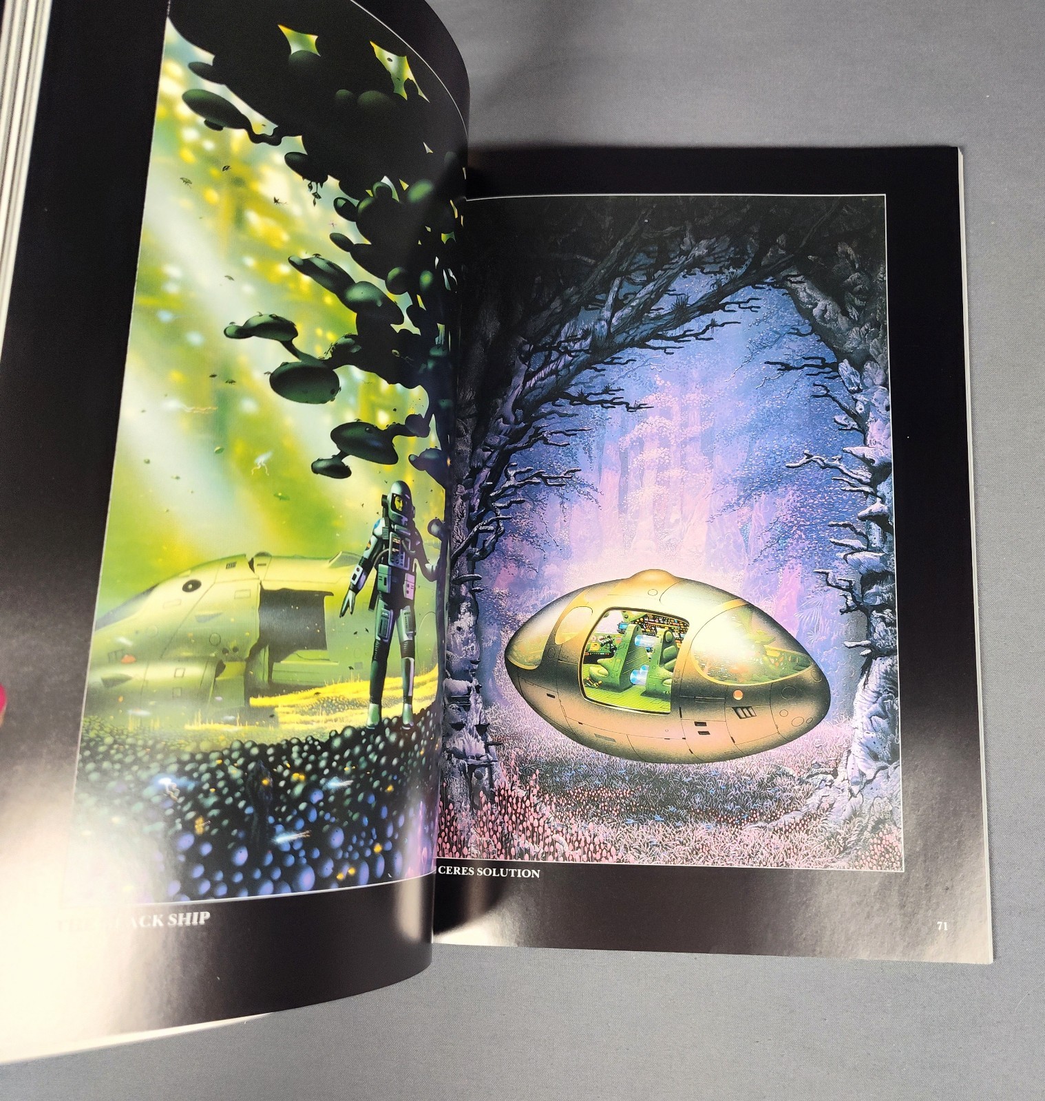 CHIAROSCURO Tim White First Edition 1988 Fantasy Sci-Fi Art Book Paper Tiger