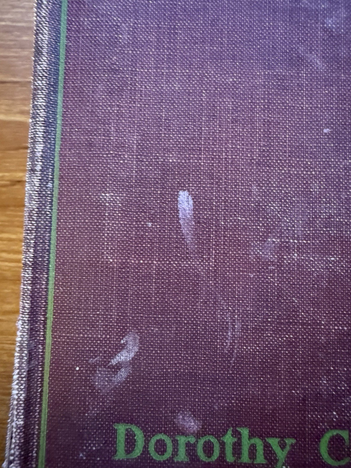 The Home-Maker by Dorothy Canfield, 1924, First Edition, Harcourt Brace & Co