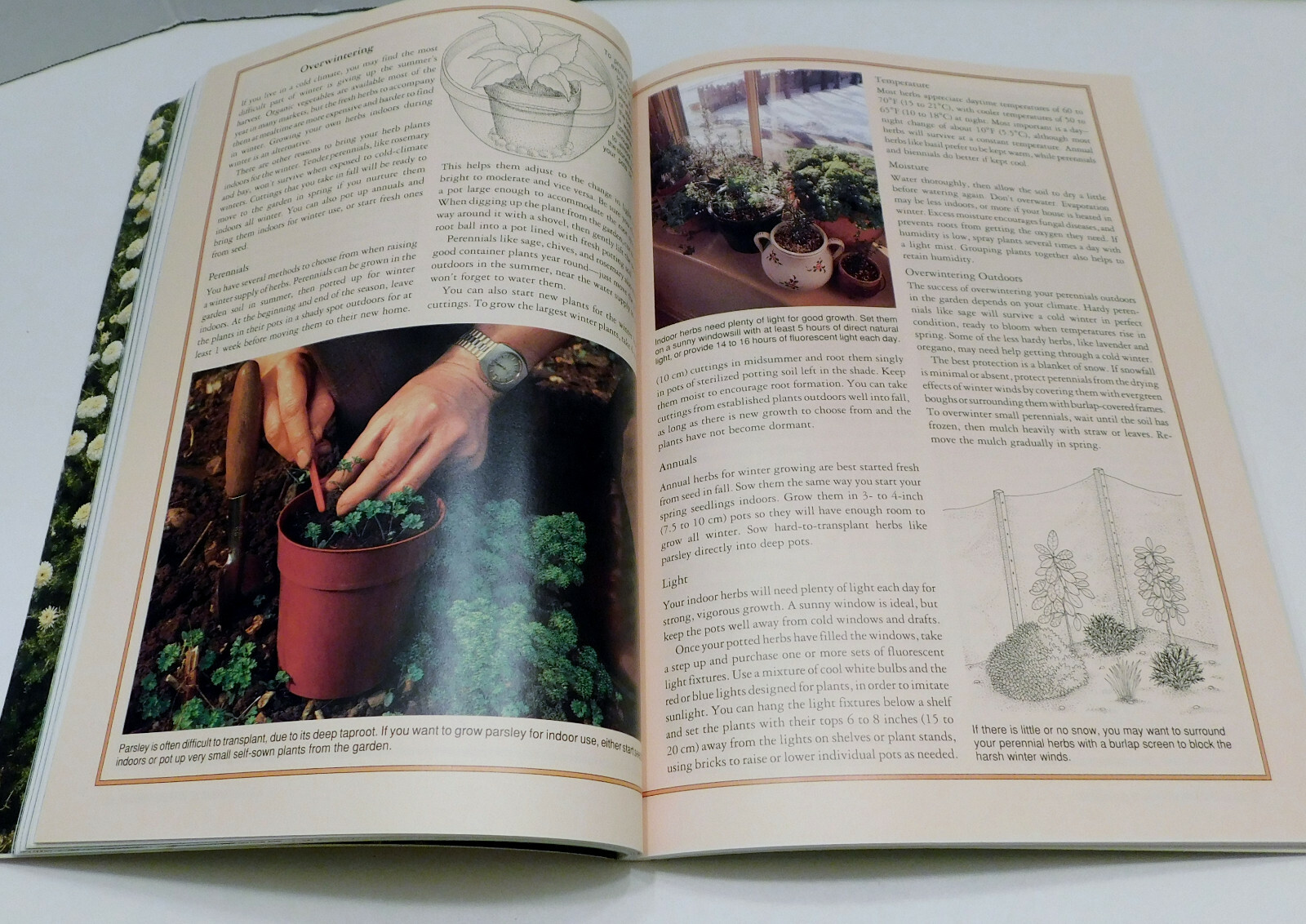 Rodale&rsquo;s Successful Organic Gardening: Herbs 300 color photos 50 illustratration
