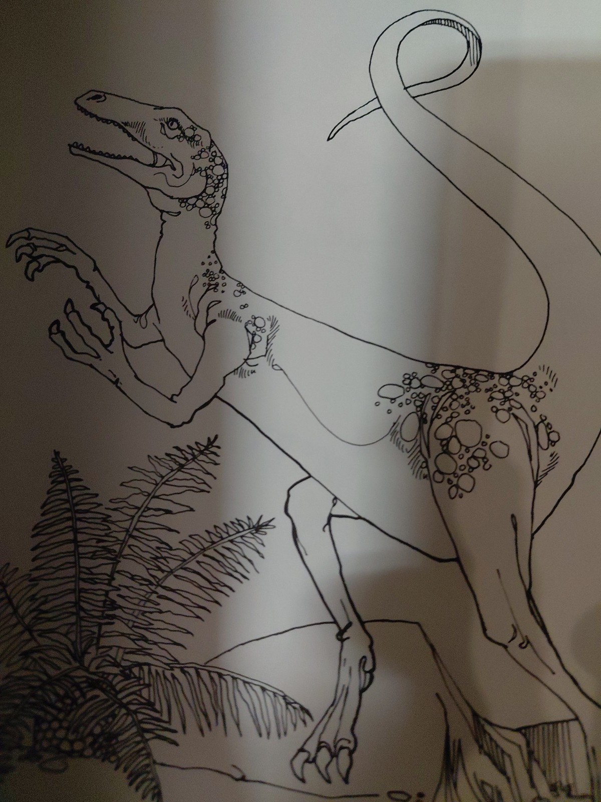 The dinosaur Coloring book Anthony Rao 1980 Vintage