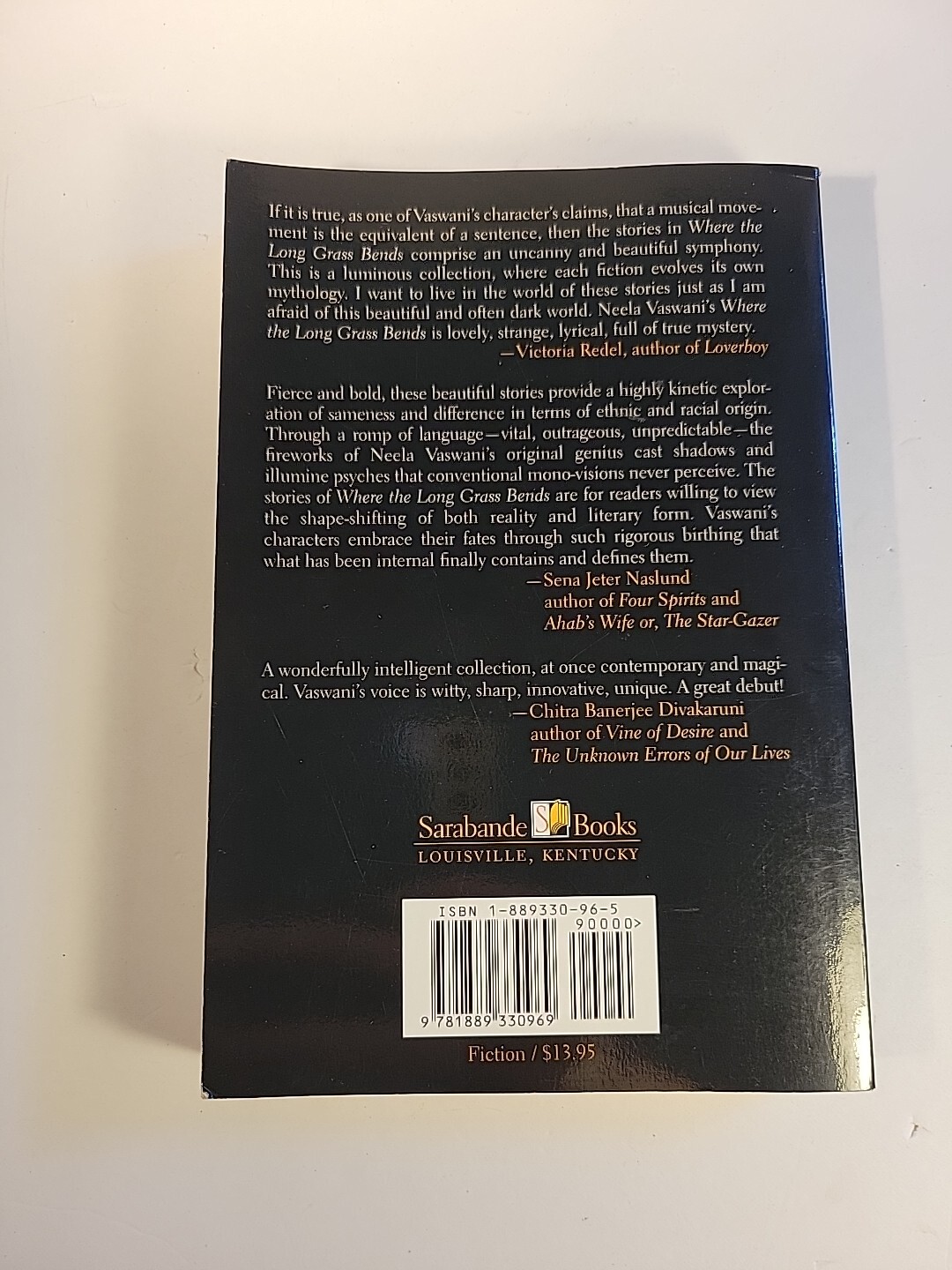 Where the Long Grass Bends : Stories by Neela Vaswani (2004, Trade Paperback)