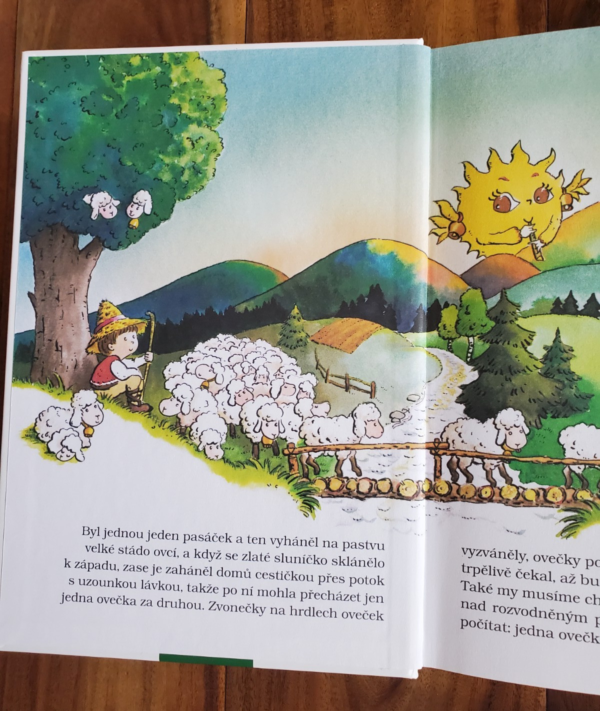 Lot 4 Kids Children&rsquo;s CZECH Language BOOKS Librex FICTION HARDCOVERS