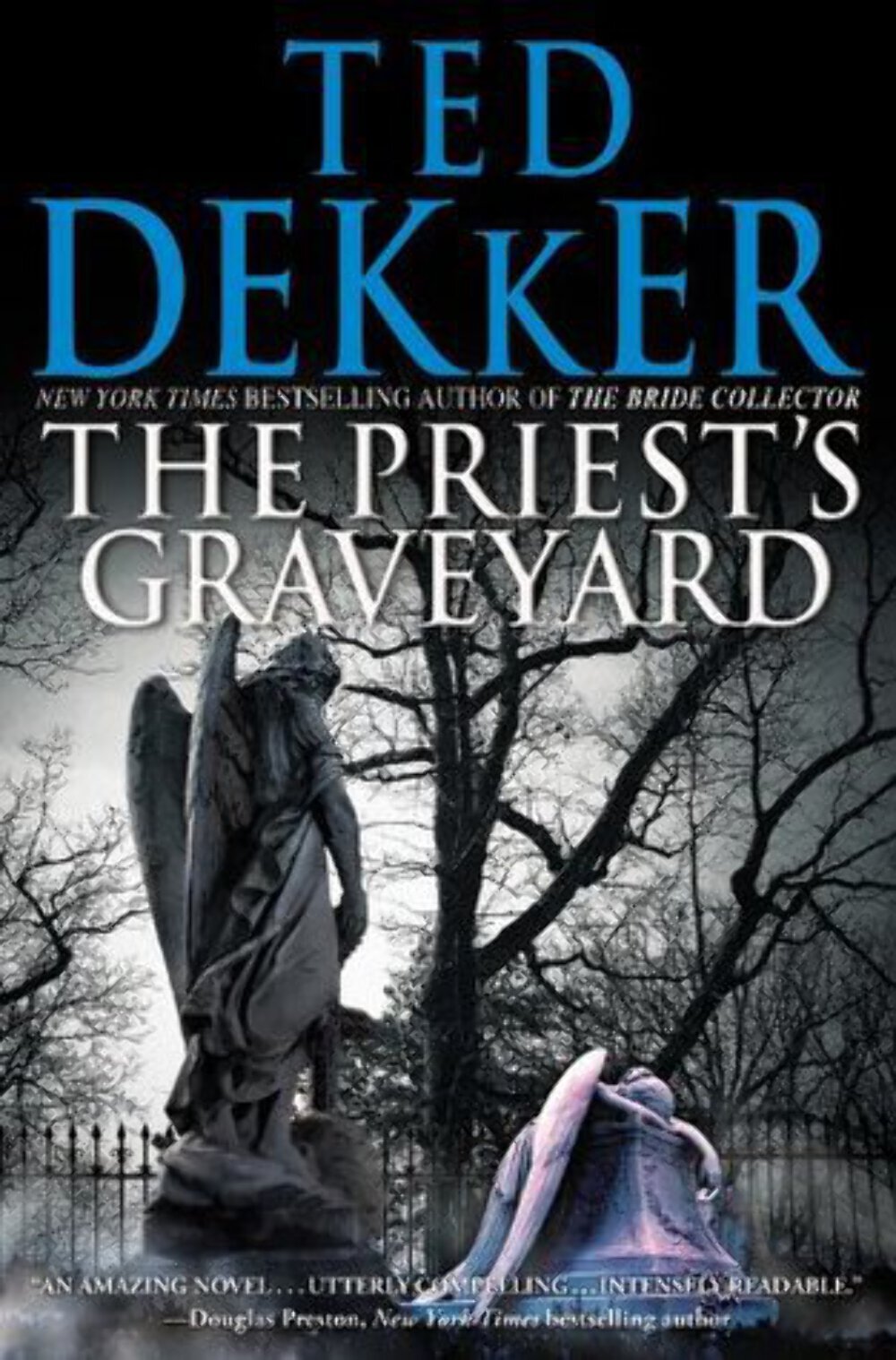 The Priest&rsquo;s Graveyard by Ted Dekker (2011) HCDJ VERY GOOD