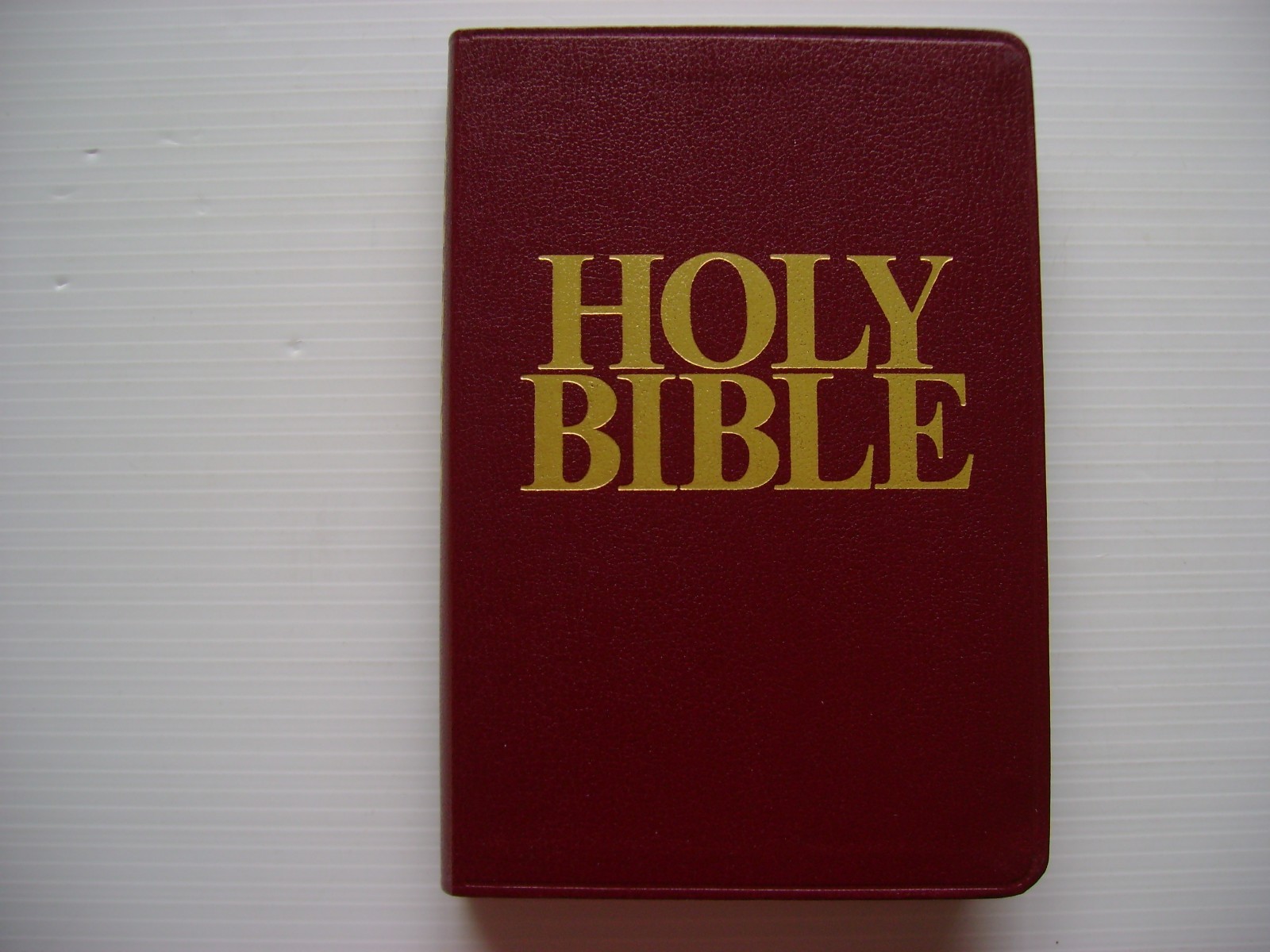 HOLY BIBLE & DAILY JOURNAL – The National Bible Press, NEW