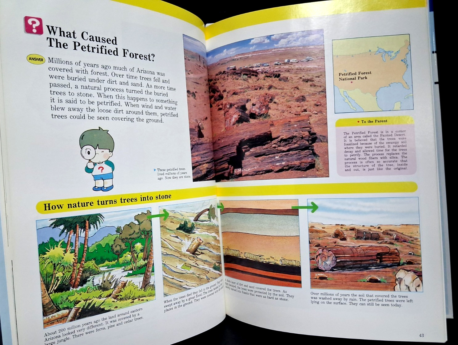 Lot of 3 A Child&rsquo;s First Library of Learning Famous Places, Insects, Sky & Earth