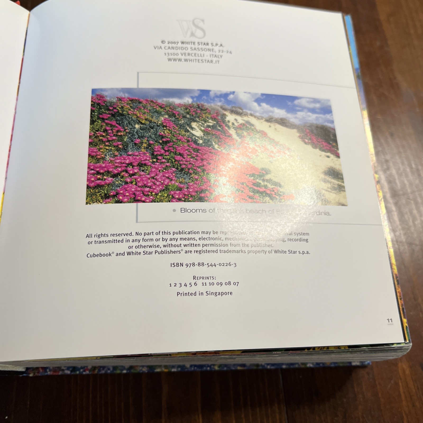 Flowers Cube book Valeria Manferto De Fabianis Hardback 736 pages