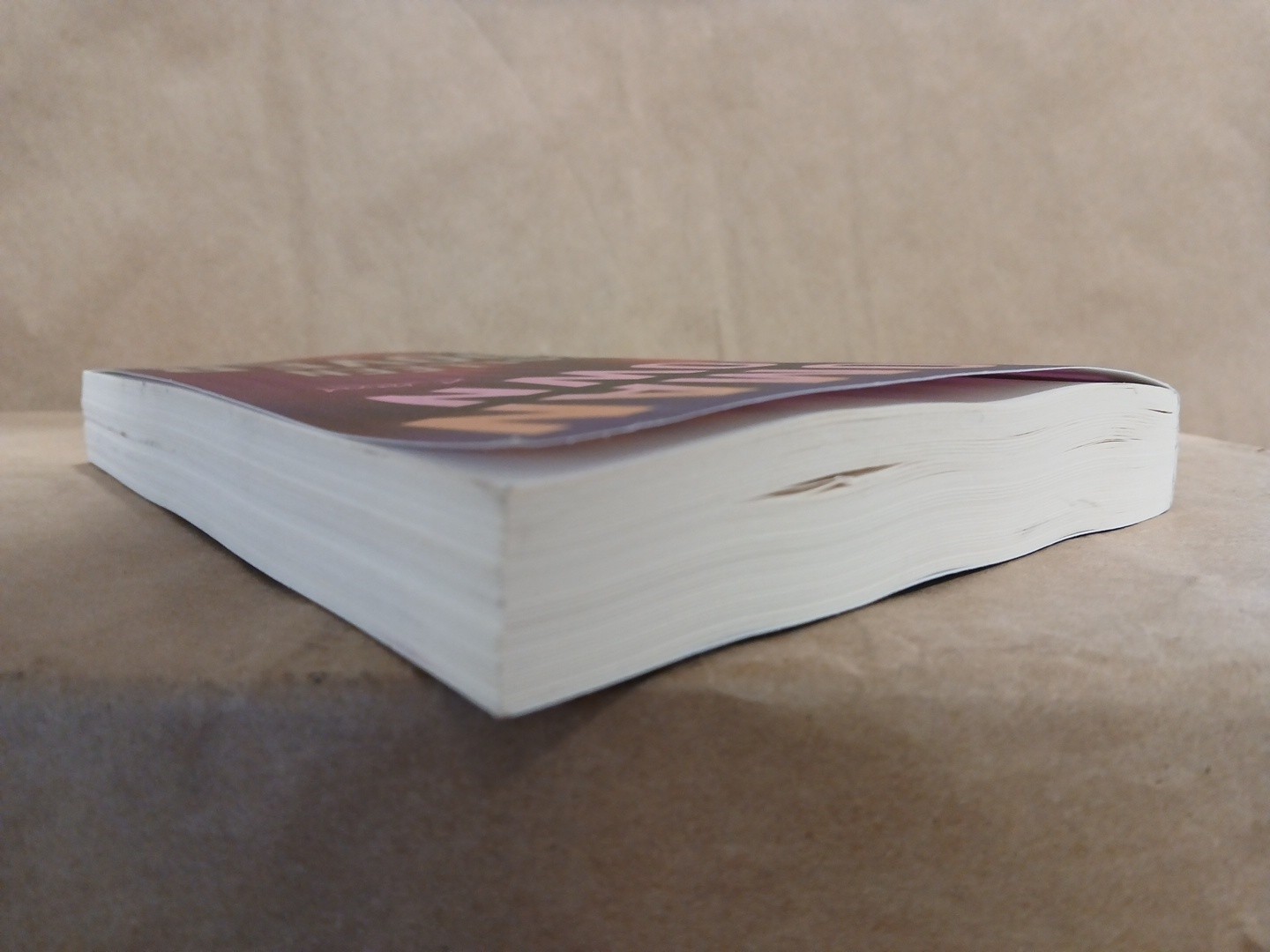 Colleen Hoover: Woman Down USED PAPERBACK SEE DESCRIPTION