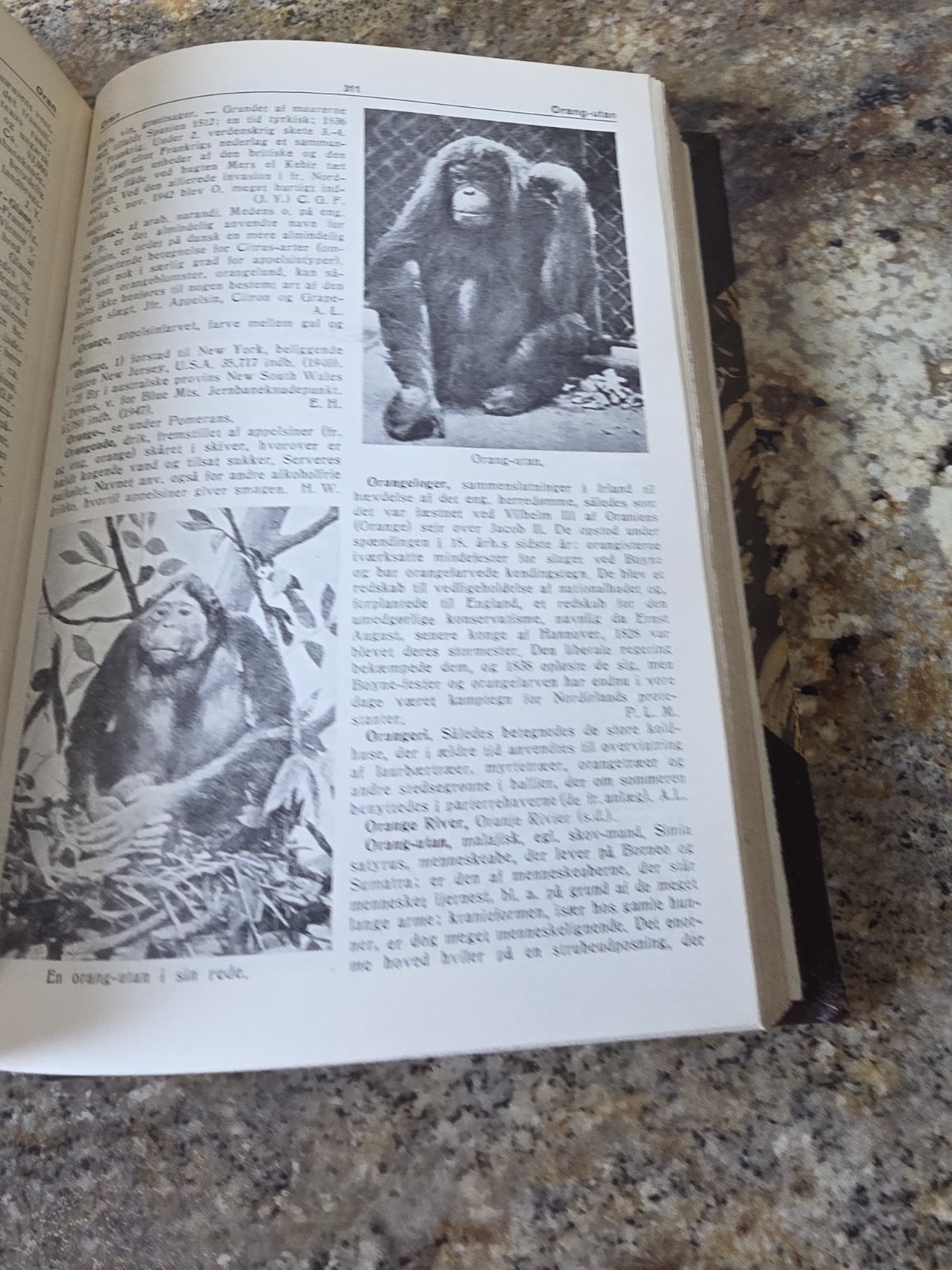 1950 Danish Encyclopedia Vor Tids Leksikon Vol 15-16 Illustrated Leather Bound