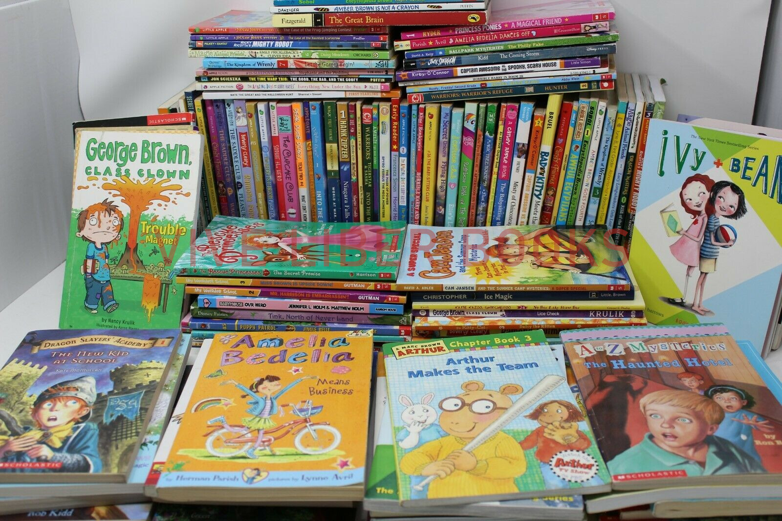 Bulk/Huge Lot of 100 of Children&rsquo;s Kids Chapter Books – Random – Free Shipping!