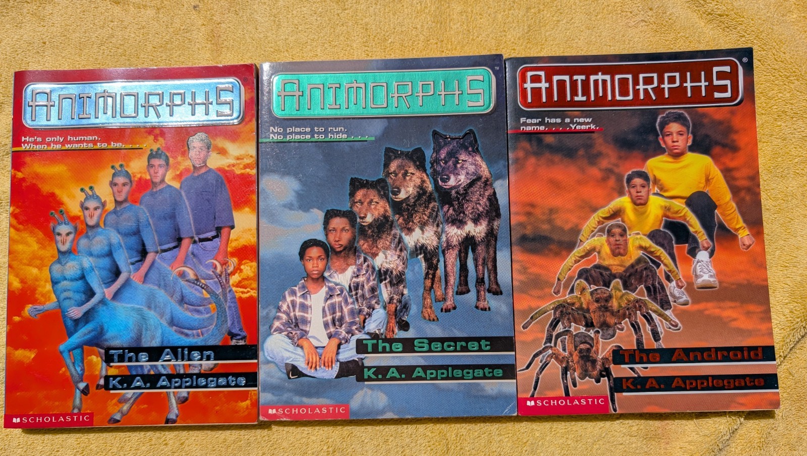 Animorphs Books Lot Of 19