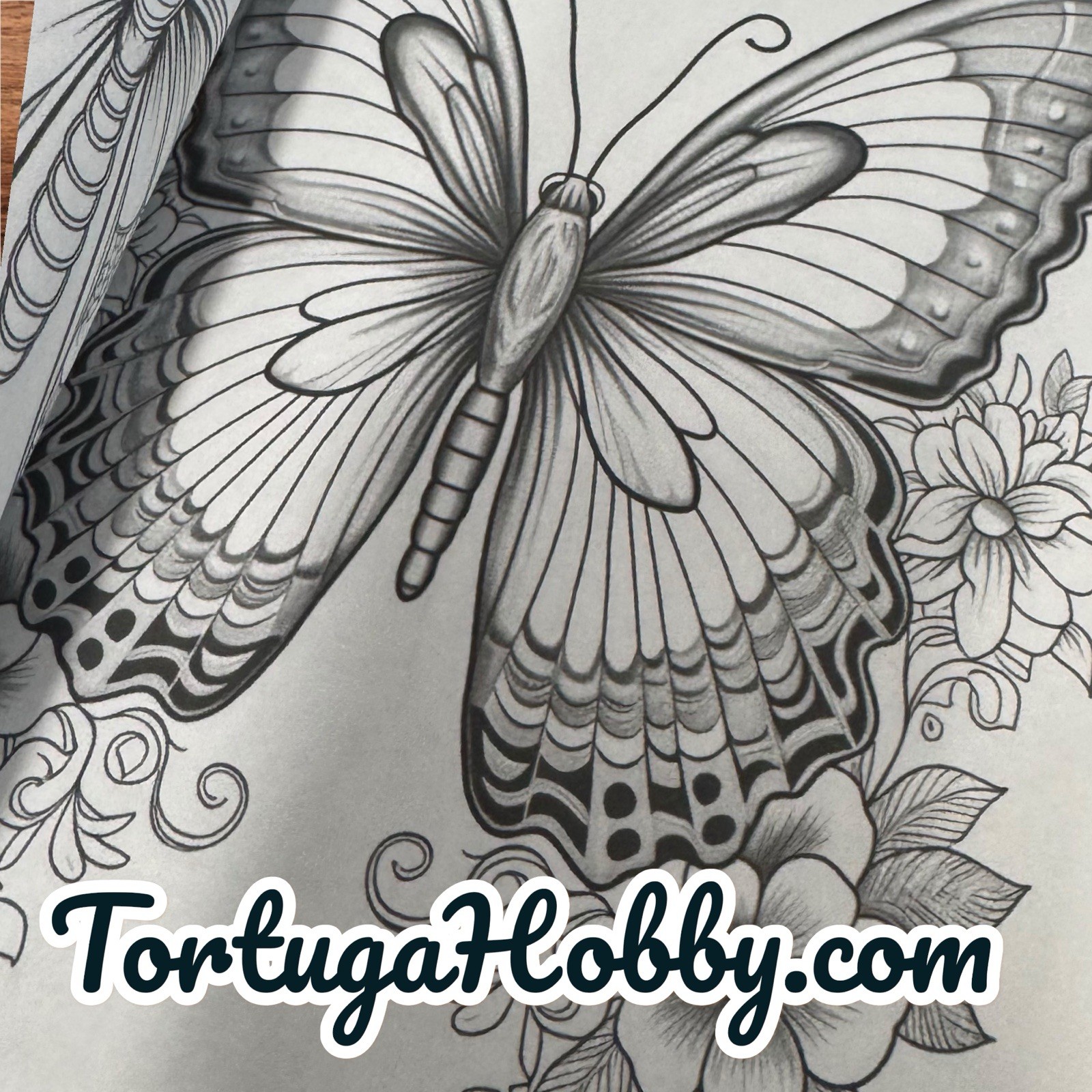 The World Of Butterflies – Adult Coloring Book – Coloring Book. 100+ Pages.