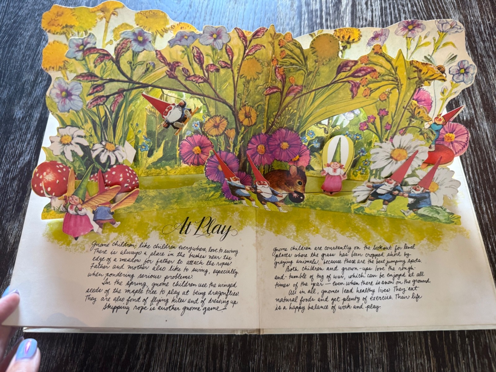 The Pop-Up Book of Gnomes illustrated by Rien Poortvliet