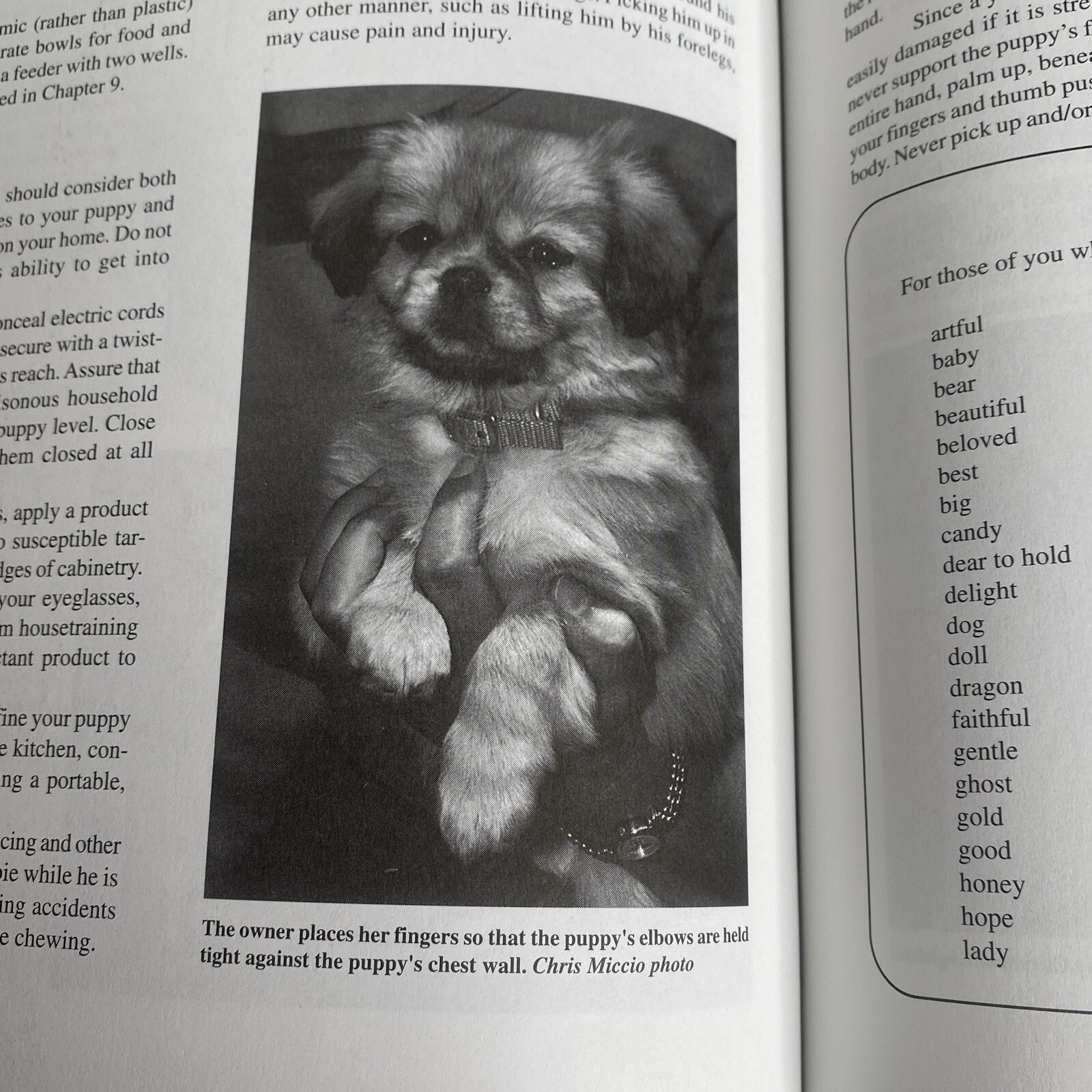 The Tibetan Spaniel: A Gift From The Roof Of The World Susan Miccio 254 pages