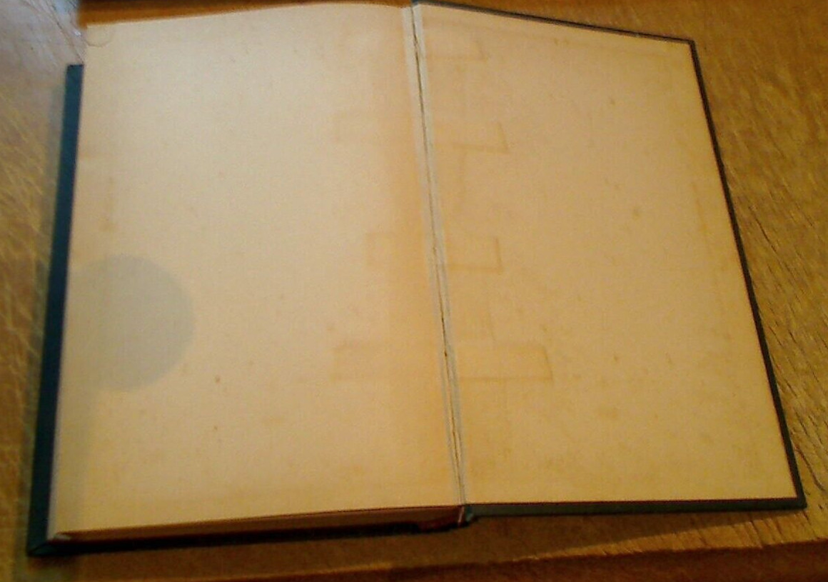 History of Jacksonville, Florida & Vicinity 1513 to 1924-Frederick Davis-1925 ed
