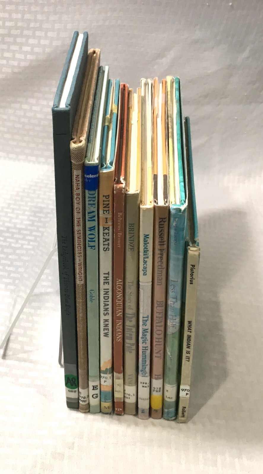 NATIVE AMERICAN BOOK LOT / 10 CHILDREN&rsquo;S PICTURE BOOK / HC / MULTIPLE TITLES