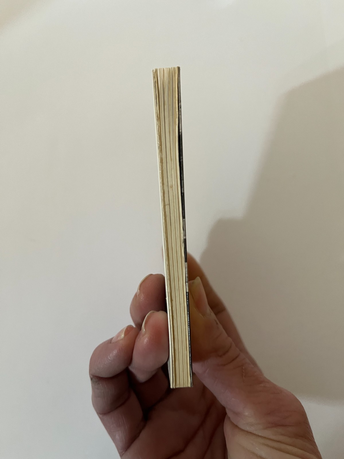 John Willie&rsquo;s Bizarre [Amuse-gueule]. Taschen Mini-Book. 1996.