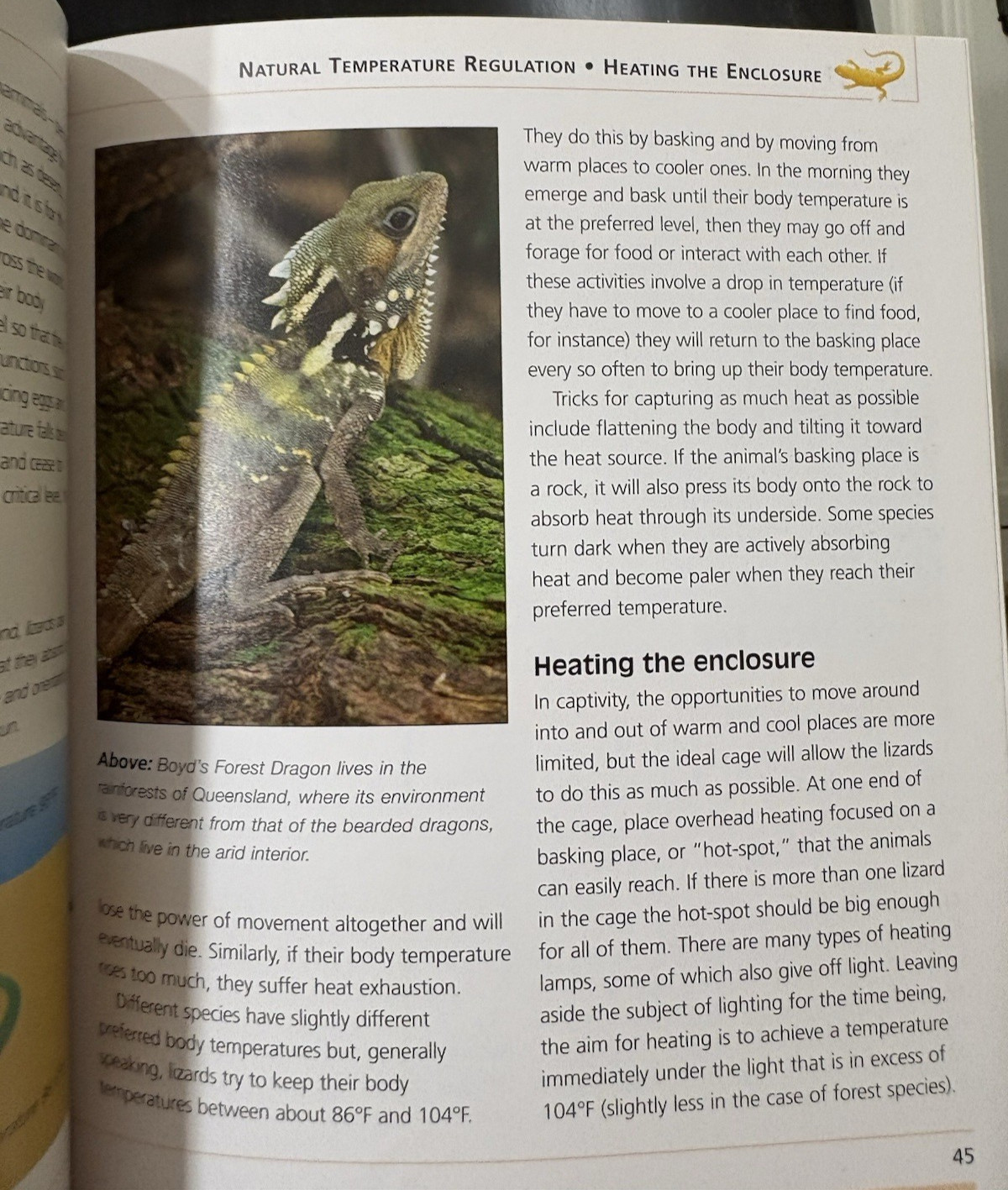 Barron&rsquo;s Mini Encyclopedia Bearded Dragons Chris Mattison Paperback 2011 Illus