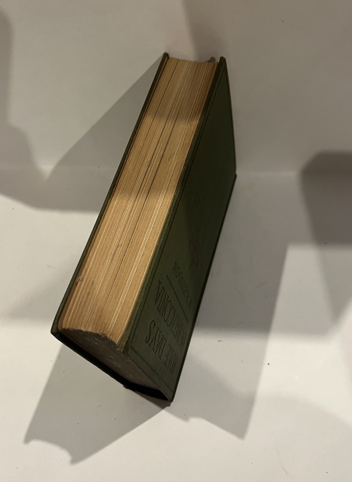 Idle Days in Patagonia W.H. Hudson 1917 hardcover book