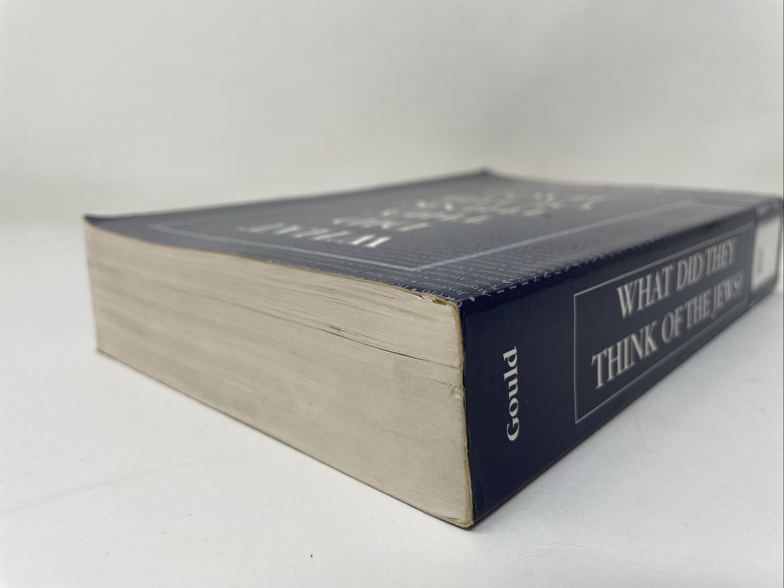 What Did They Think of the Jews? 1st Softcover Ed 1997 by Allan Gould