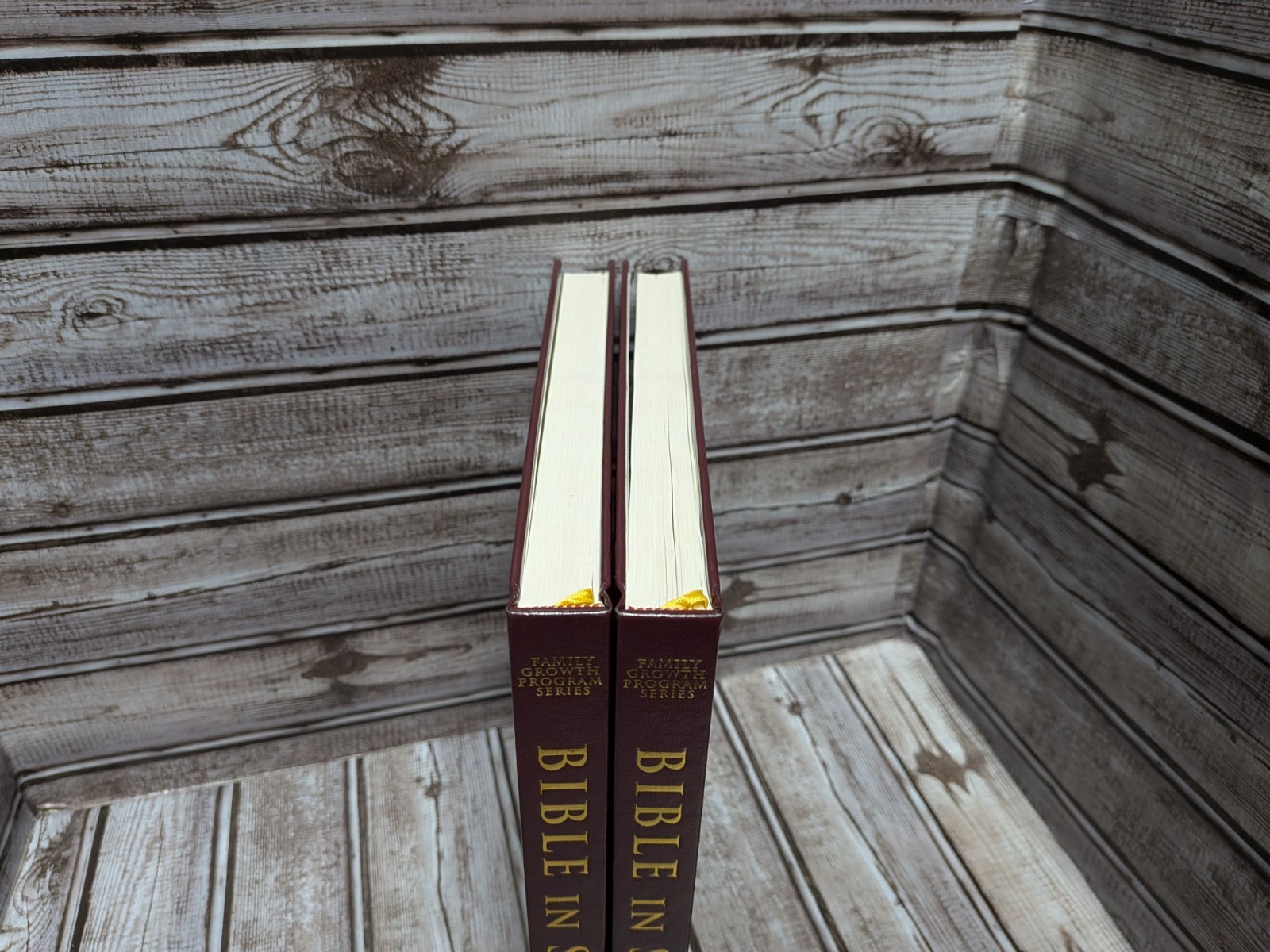 Family Growth Program Series Bible In Stories Vol 1 & 2