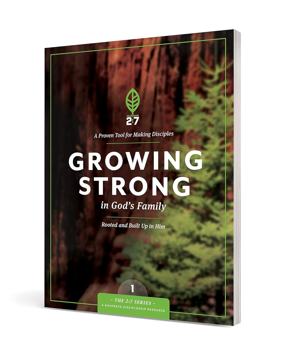 Growing Strong in God&rsquo;S Family: Rooted and Built up in Him (The 2:7 Series)