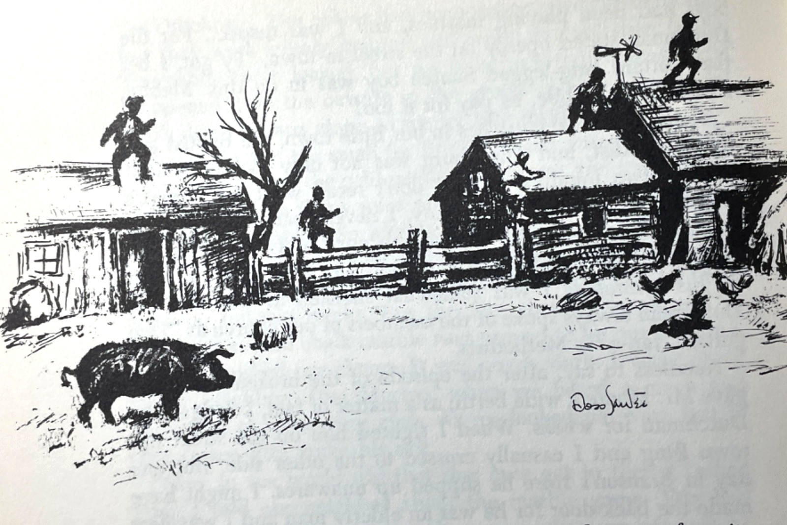 Ross Santee Dog Days First Edition A Scribner 1955 DJ Illus Cowboy Life Western