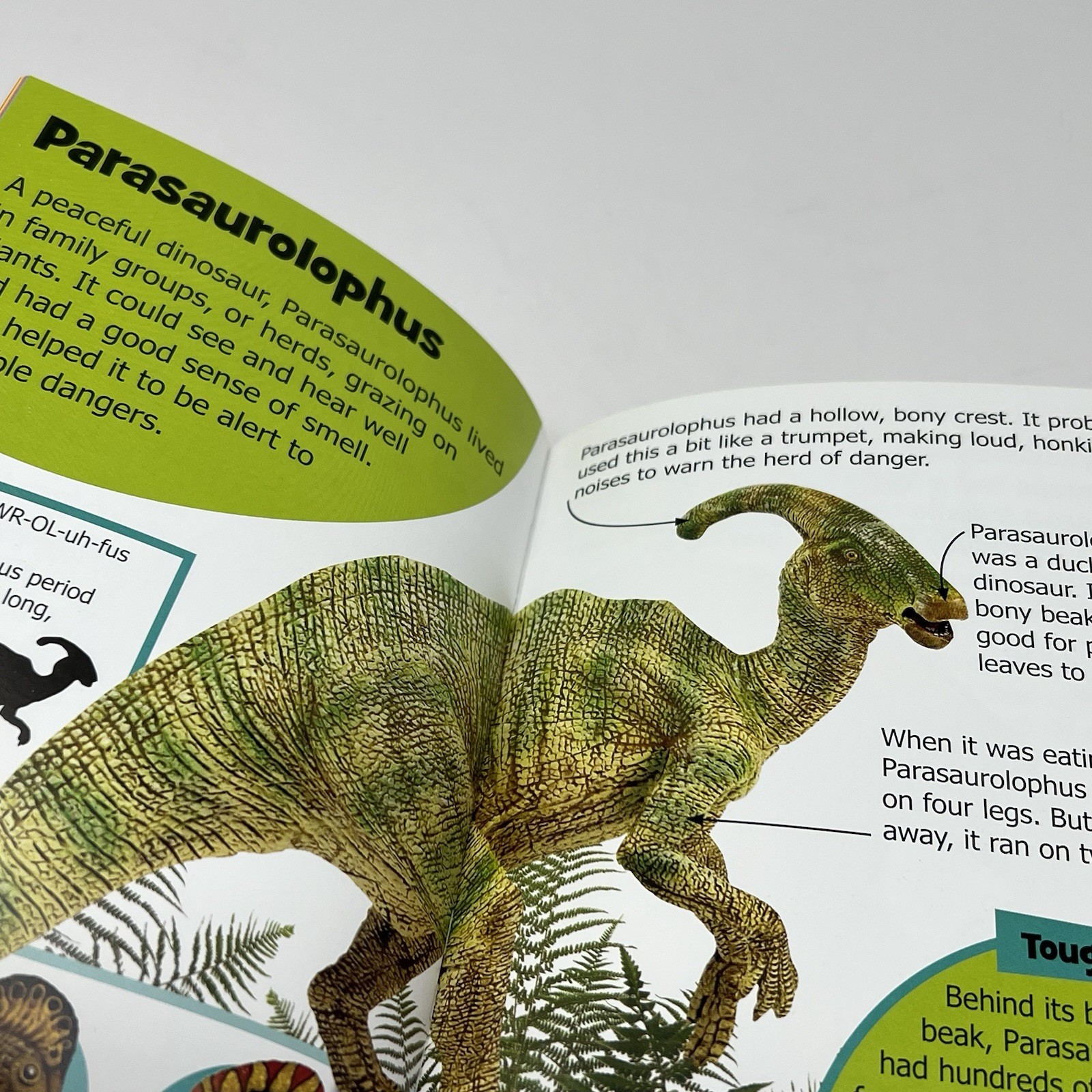 Children&rsquo;s Mini Encyclopedia Lot of 2 Weather Dino&rsquo;s New