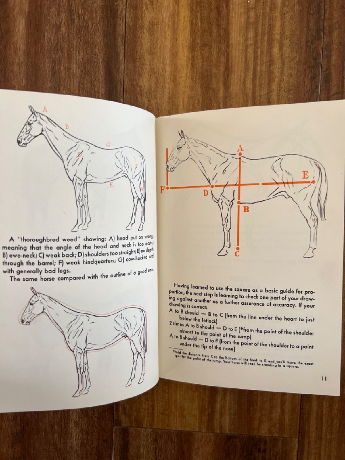 VINTAGE Draw Horses It’s Fun and It’s Easy by Paul Brown 1949 Hardcover