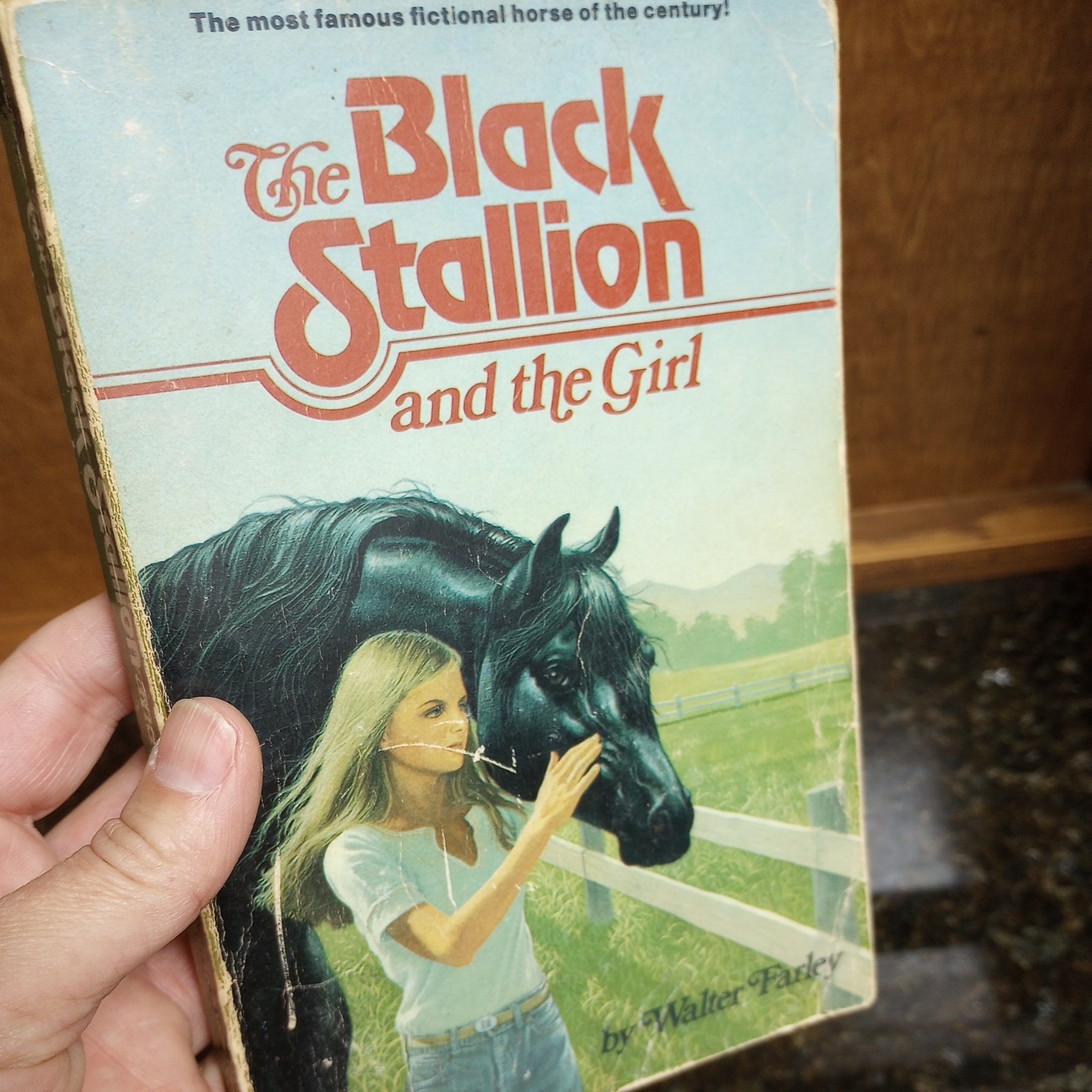 The Black Stallion Set Of varies Paperback Books 1980’s Walter Farley LOT of 6