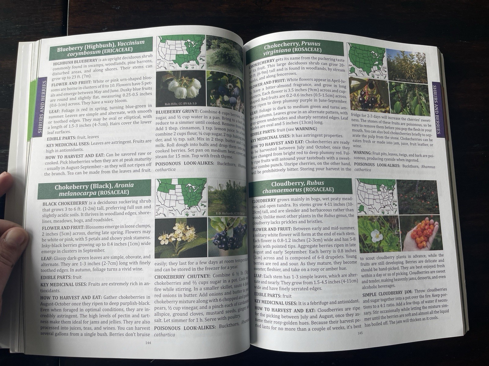 The Forager&rsquo;s Guide to Wild Foods North American Edition by Nicole Apelian