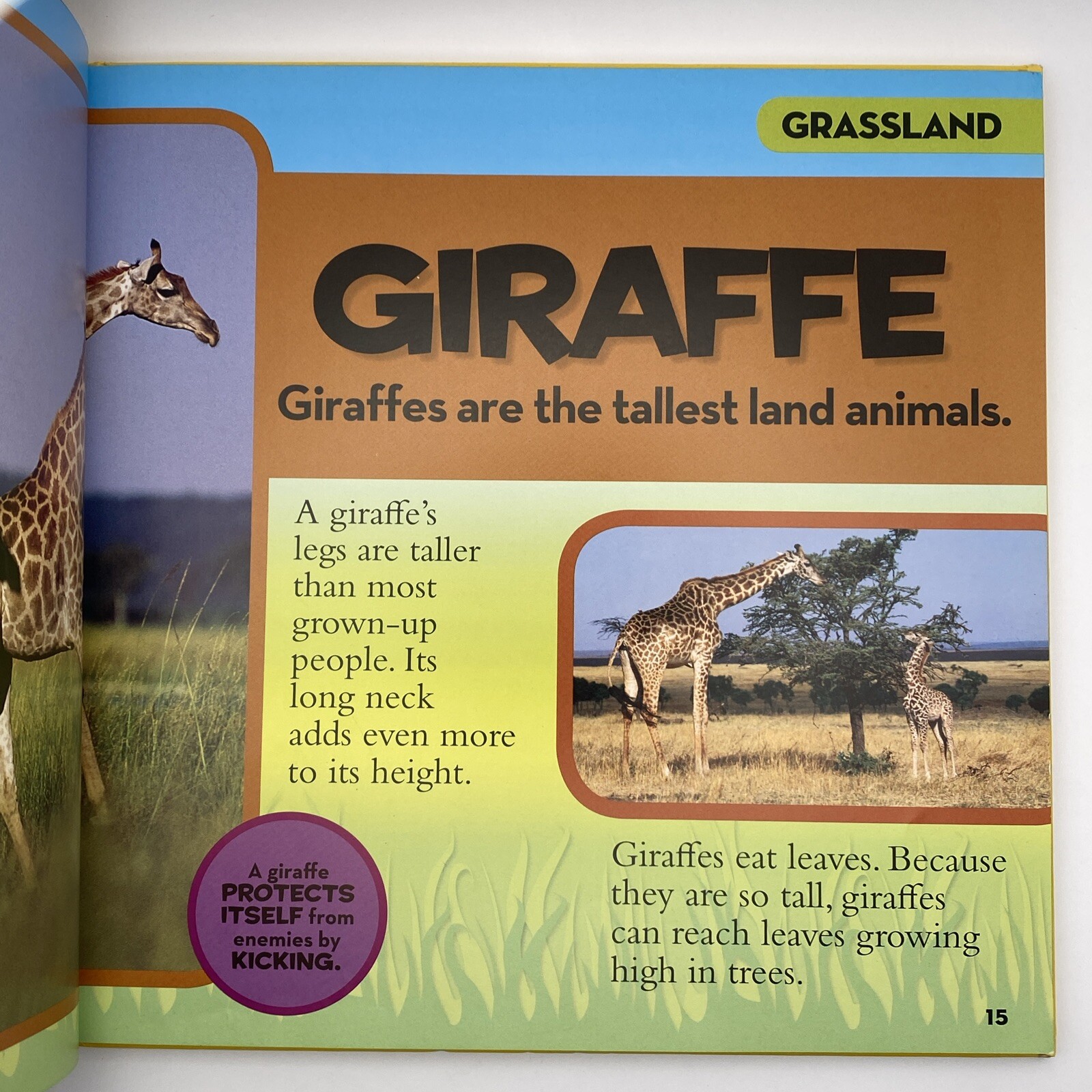 National Geographic Little Kids First Big Book of Animals Catherine D. Hughes HC