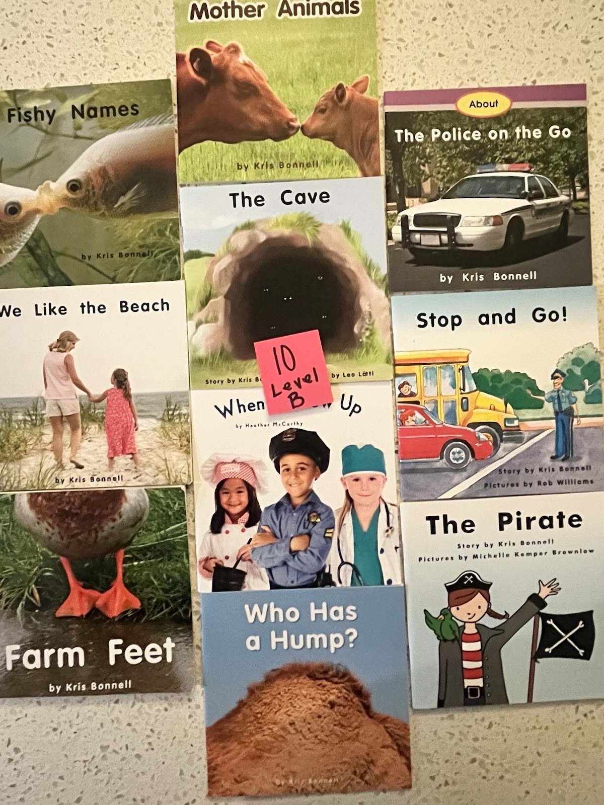 60 RR Books F&P Text Level decodable Leveled (A-F) Readers Lot, Paperback