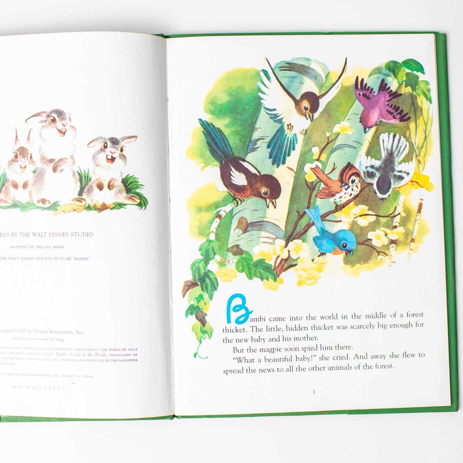Walt Disney&rsquo;s Bambi Hardcover Storybook 2006 Dalmatian Press Classic Children&rsquo;s