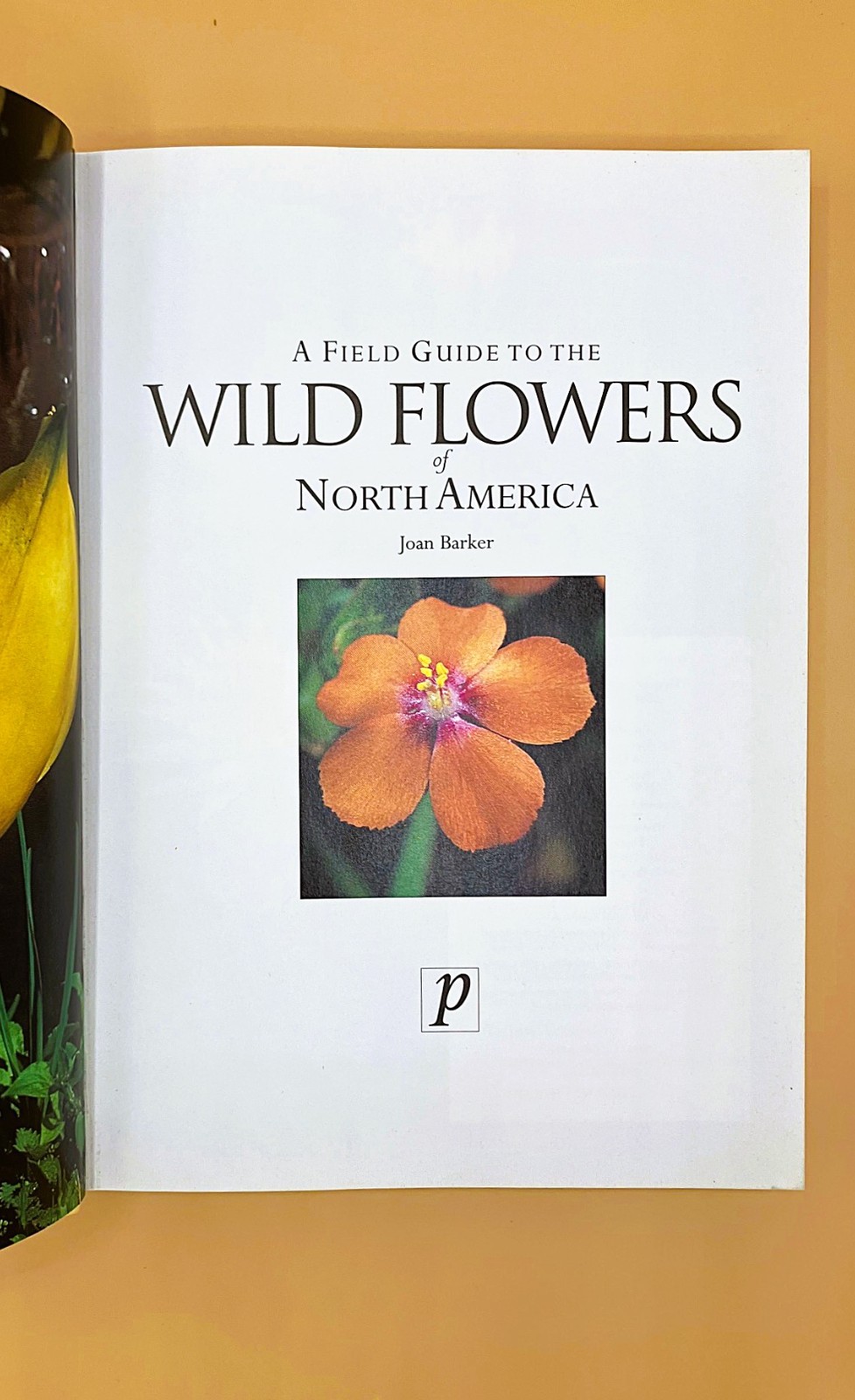 Gardener&rsquo;s Lot of 4 Books, Very Good, The Orchid Show, Etc.