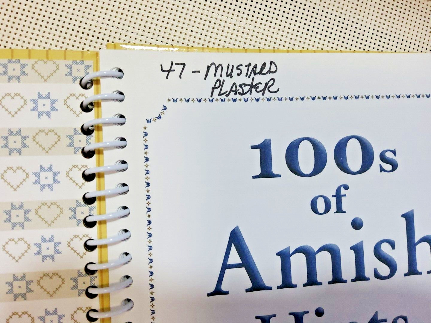 100&rsquo;s of Amish Hints Book Writing inside front flap