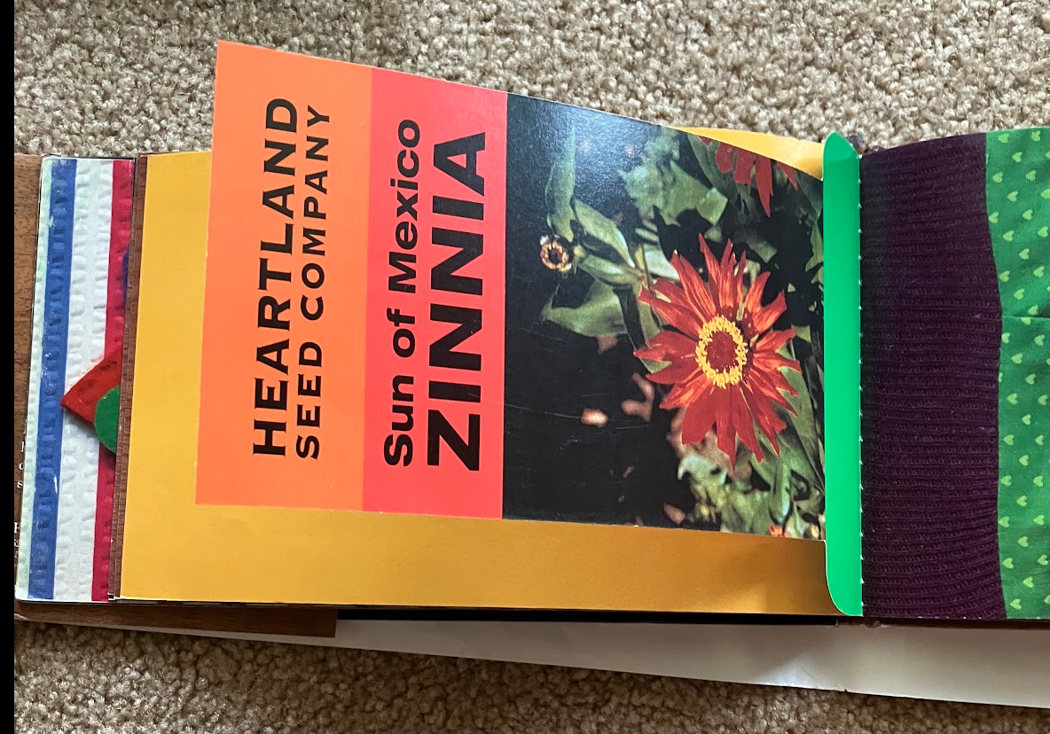 Lot 10 LOIS EHLERT Books HC — well loved and unique set