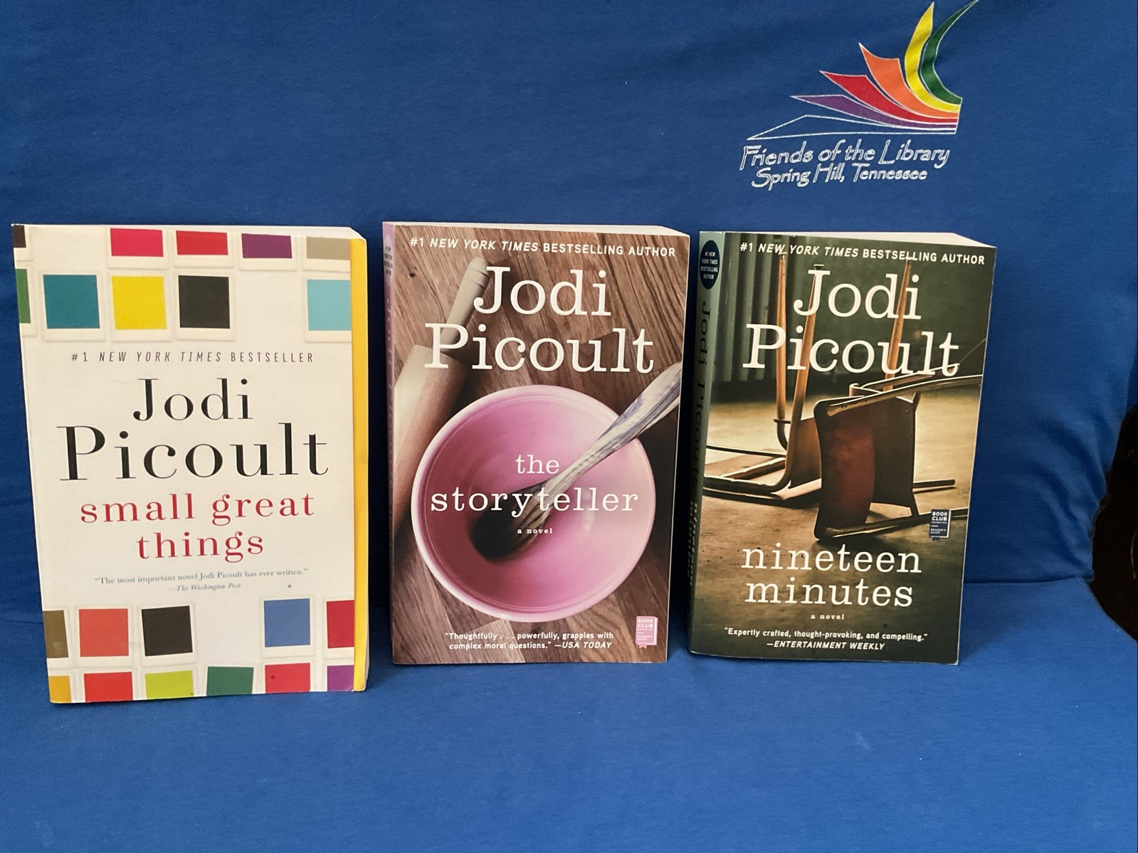 Lot of 11 – Women&rsquo;s Contemporary Topics, By Jodi Picoult & Others, PB