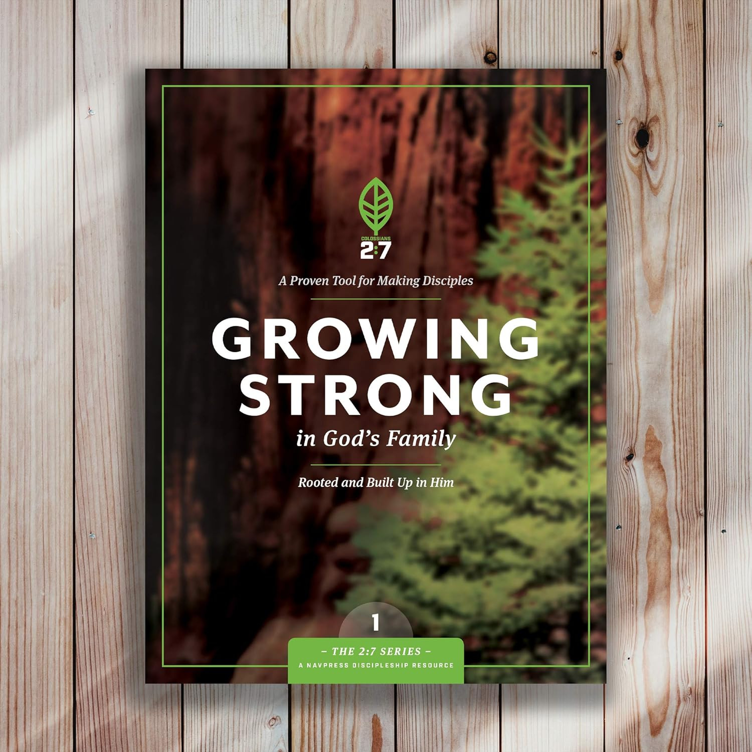 Growing Strong in God&rsquo;S Family: Rooted and Built up in Him (The 2:7 Series)
