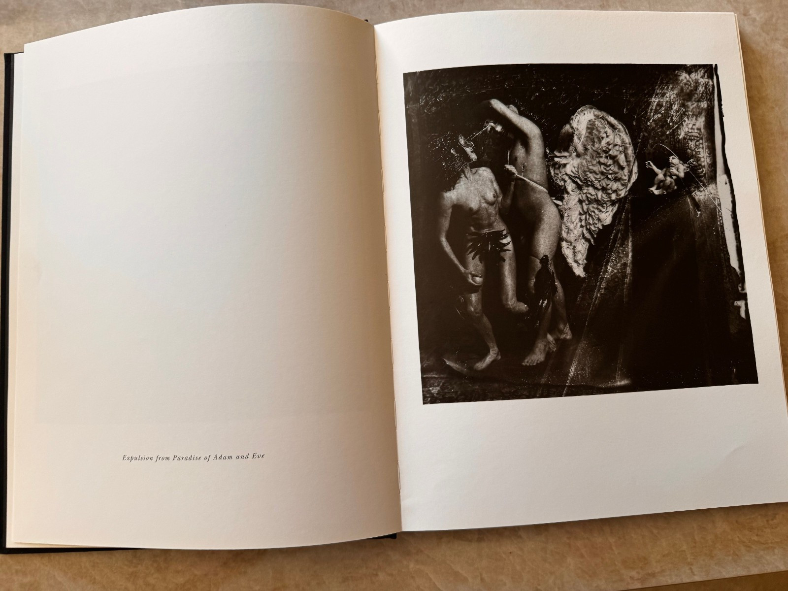 Gods of Earth and Heaven by Joel-Peter Witkin (1989, Hardcover)
