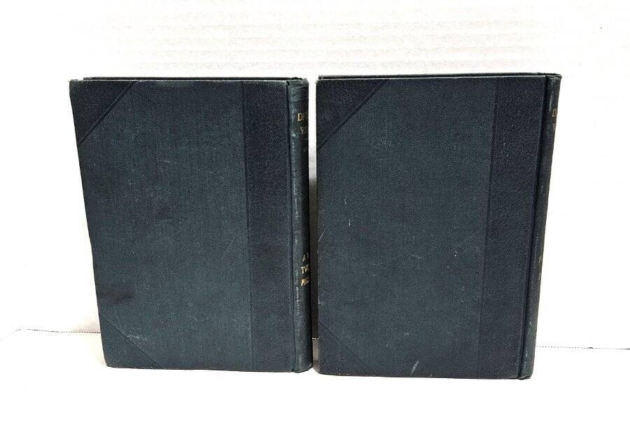 10 Works of Charles Dickens Peter Fenelon Collier Early 1900&rsquo;s David Copperfield