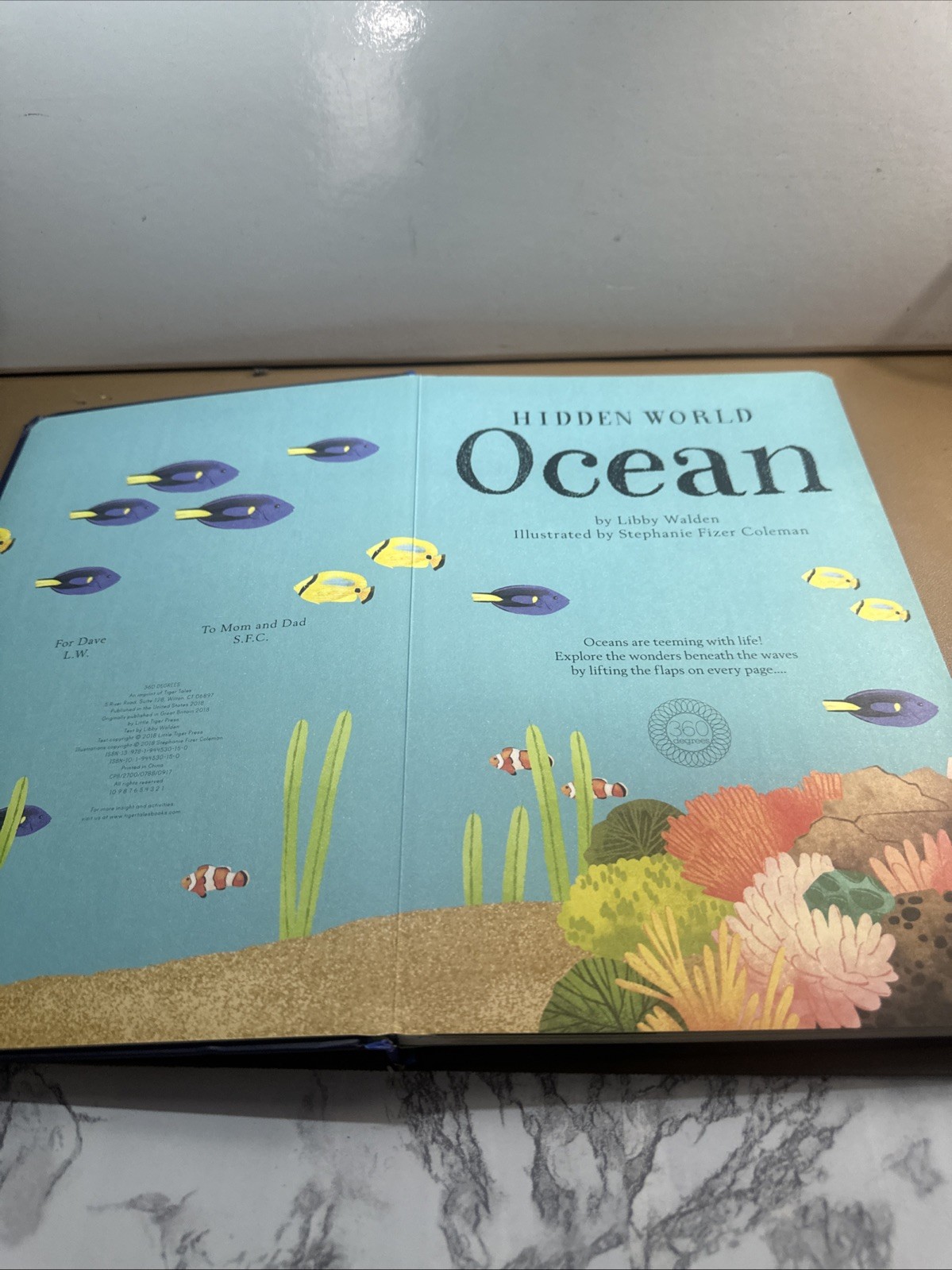Hidden World: Ocean by Libby Walden (2018, Lift the Flap Book)