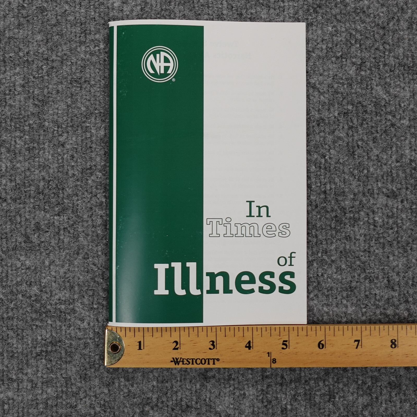 In Times Of Illness Informational Pamphlet 2010 Narcotics Anonymous NA Recovery