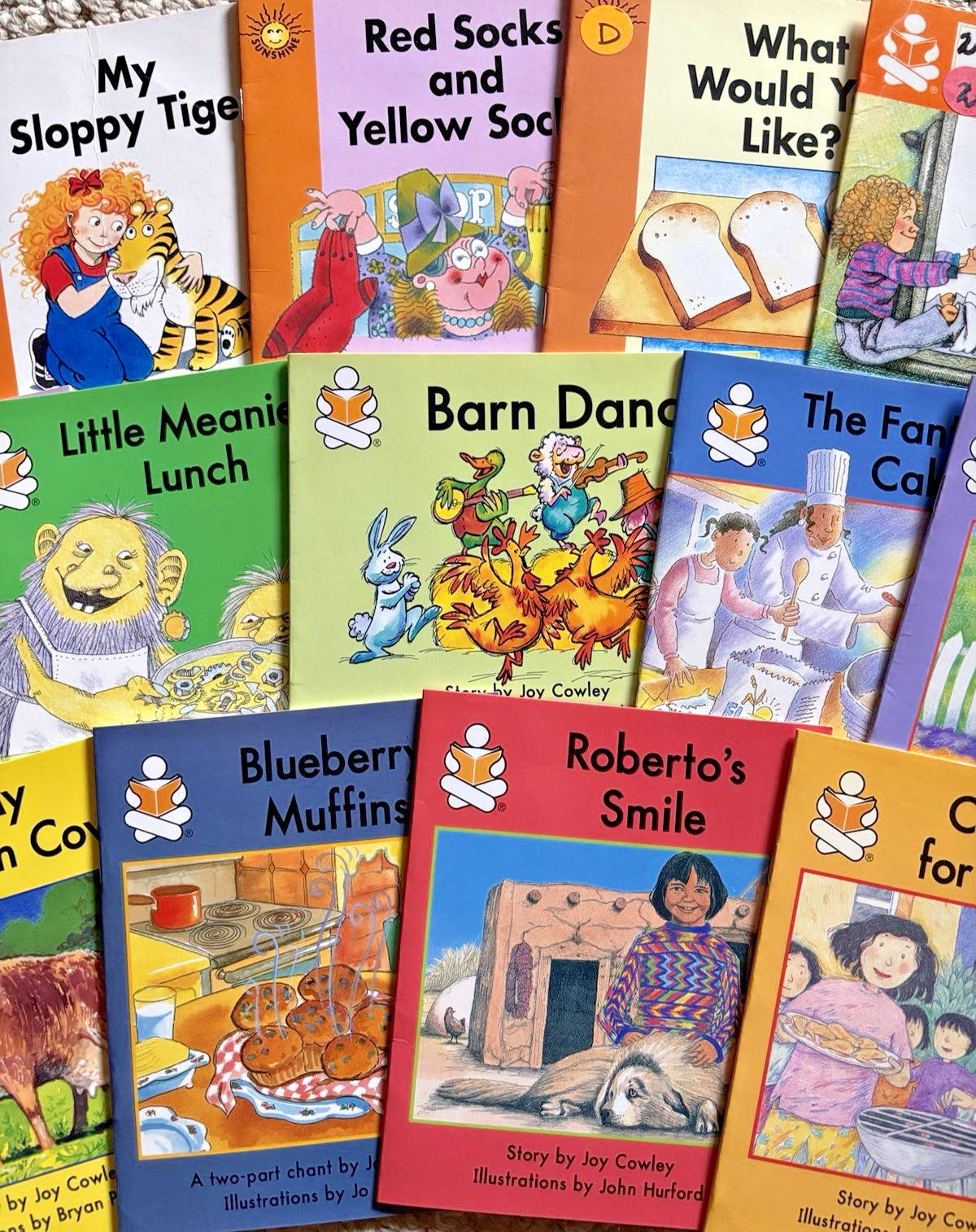 The Wright Group Story Box Emergent Books 21 Readers Joy Cowley Levels E F G H I