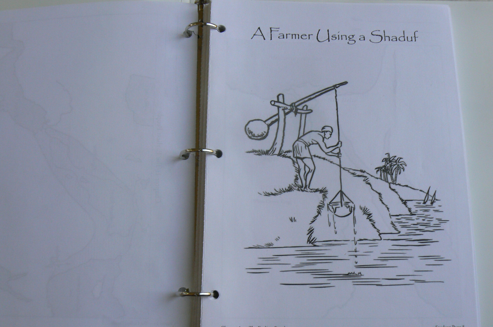 The Story of World, Text, Tests &Activity Book 1 : Ancient Times,History, Bauer
