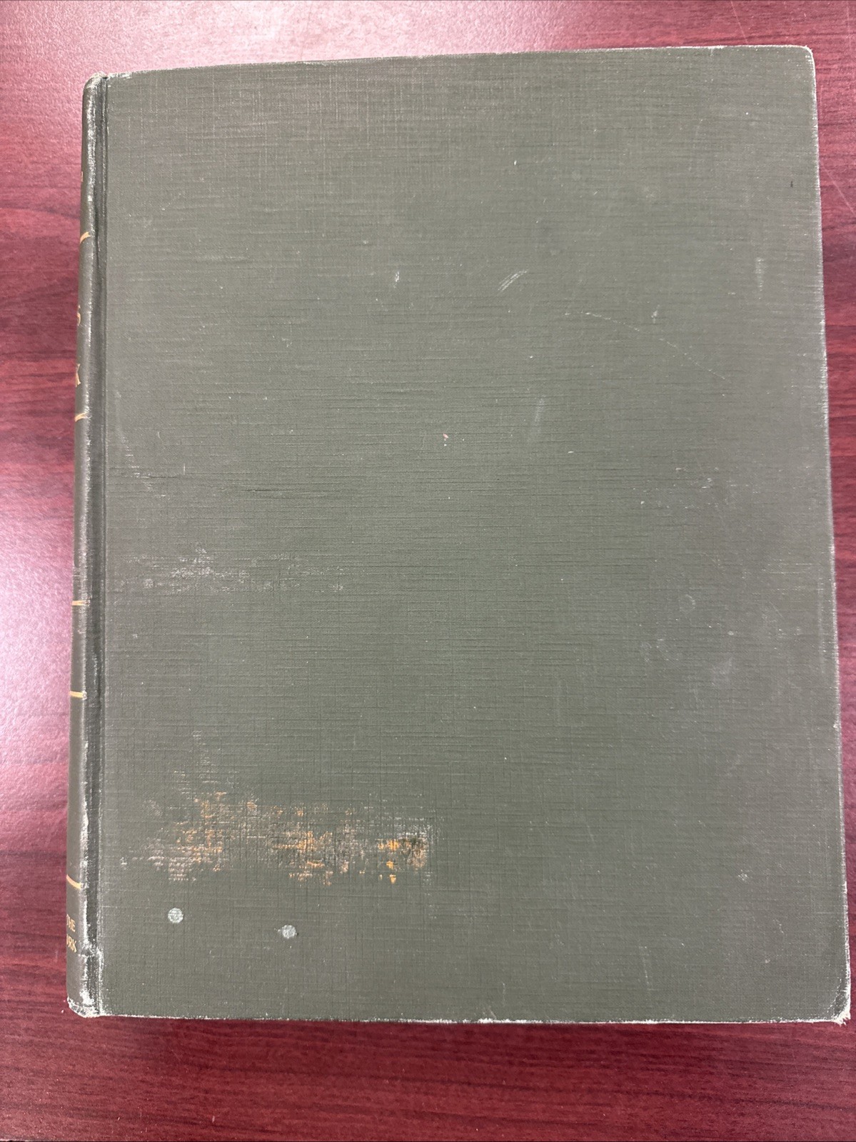 Wildflowers Of New York Part One 1918 Original Edition